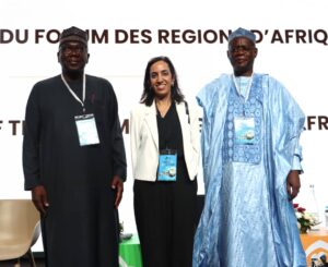 cd818250-87cd-4c6b-bae5-bef973d78541-300x245 NGF Chair Gov AbdulRazaq elected FORAF President, seeks better integrated Africa, inclusive growth